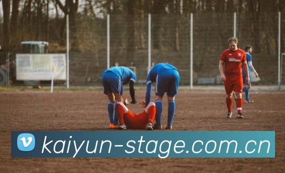 多媒体互动体验